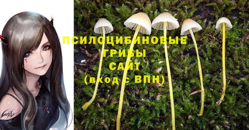 Галлюциногенные грибы MAGIC MUSHROOMS  закладка  Воткинск 